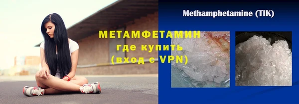 индика Богородицк